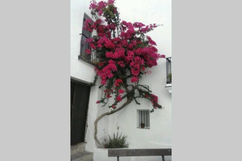 Apartament Albayalde Cielo Y Mar Vejer de la Frontera Zewnętrze zdjęcie